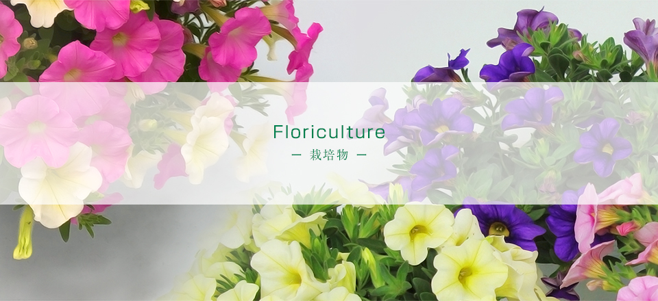 Floriculture
